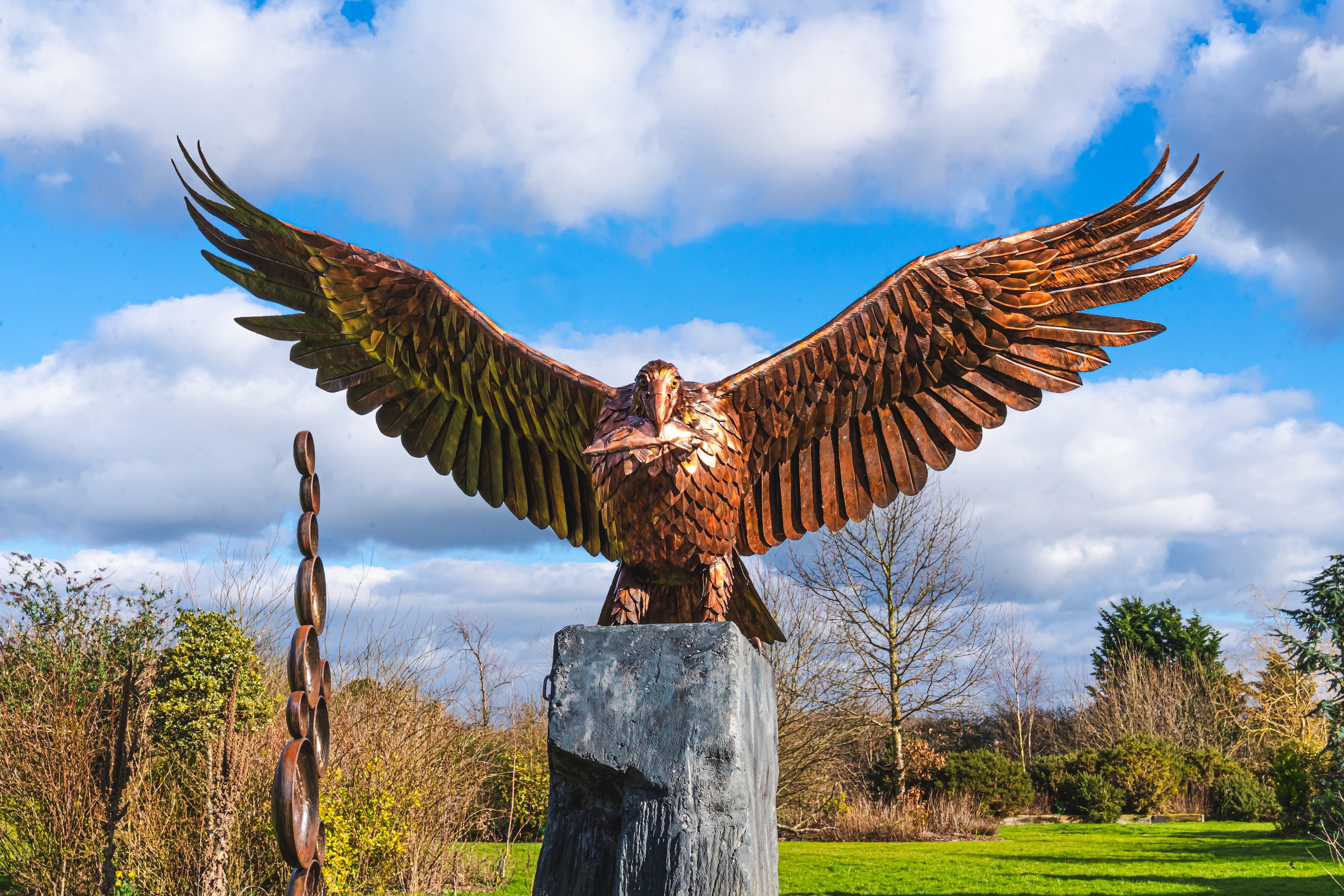 Large Owl