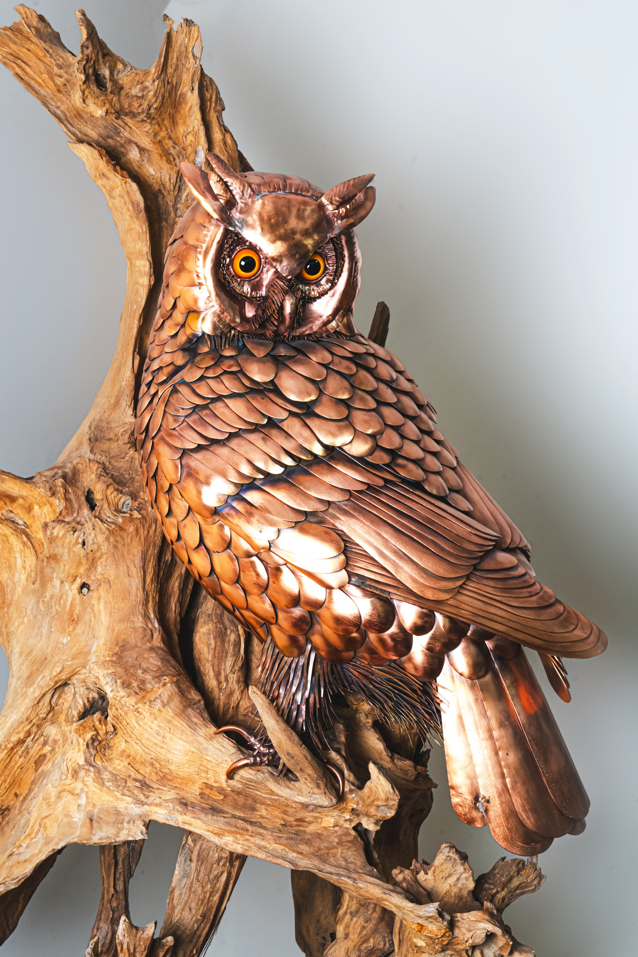 Large Owl